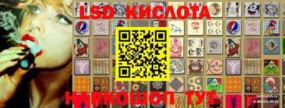 дживик Кандалакша