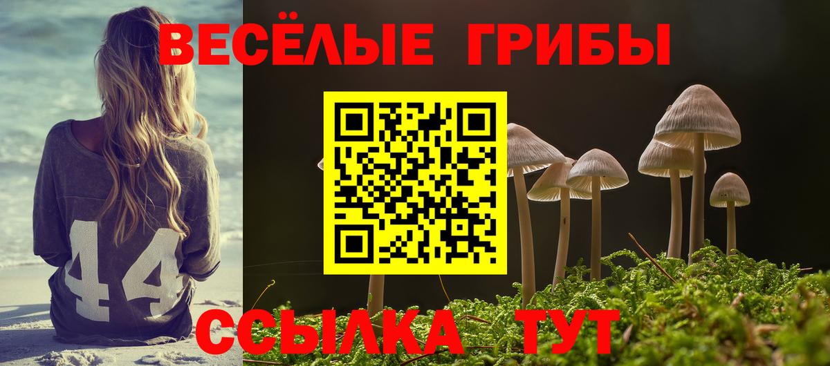 Галлюциногенные грибы Cubensis Кропоткин