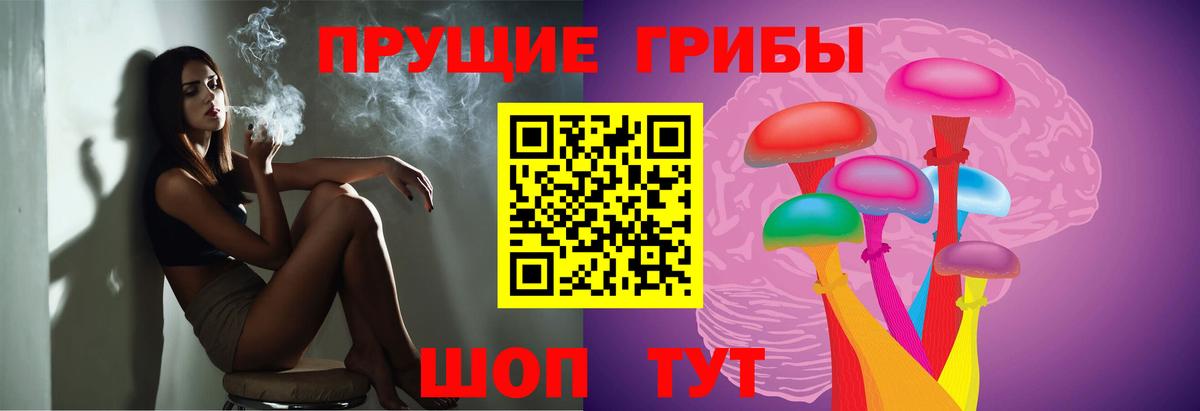 Кропоткин  Галлюциногенные грибы Psilocybe  Галлюциногенные грибы мицелий  наркотики  Вход с VPN 